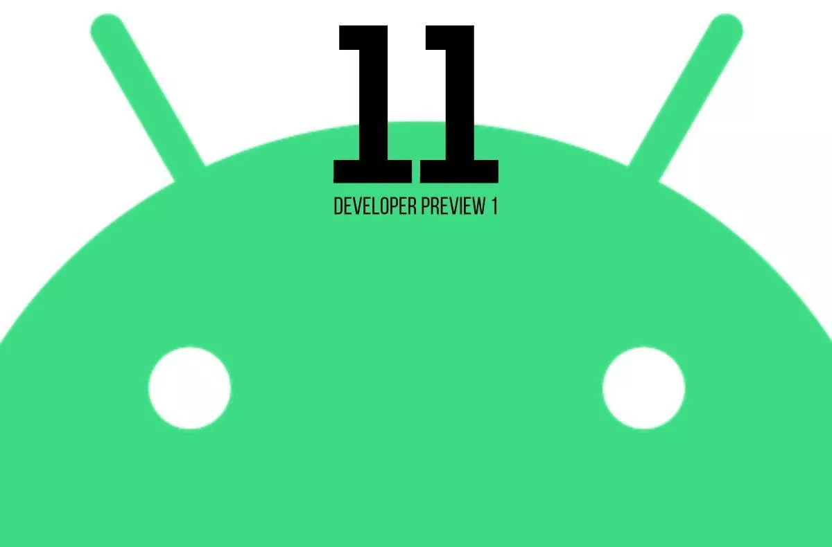 Developer Preview 1 Android 11