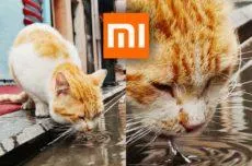 jak dobře fotí Xiaomi Mi 10