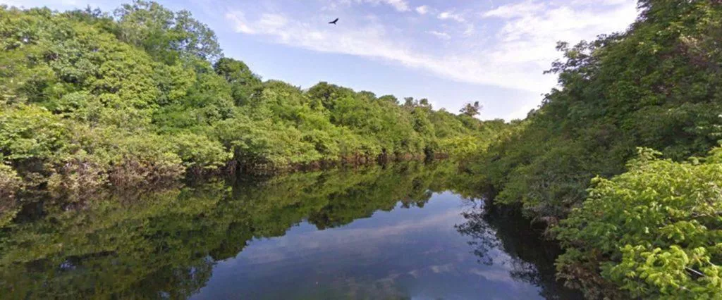 Street View Rio Negro Amazonie