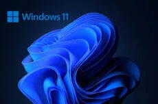 windows 11