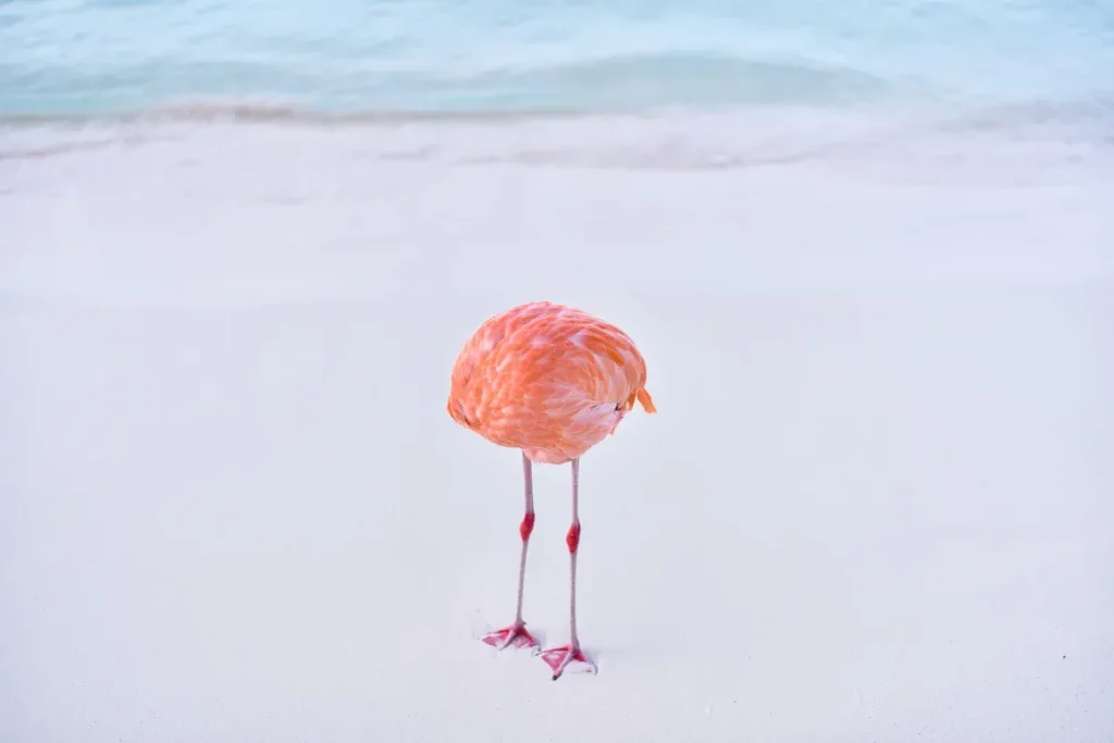Flamingone AI fotografie