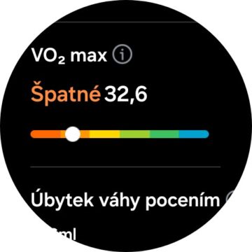 Galaxy Watch Ultra S Health měření chůze výsledek, VO2 max