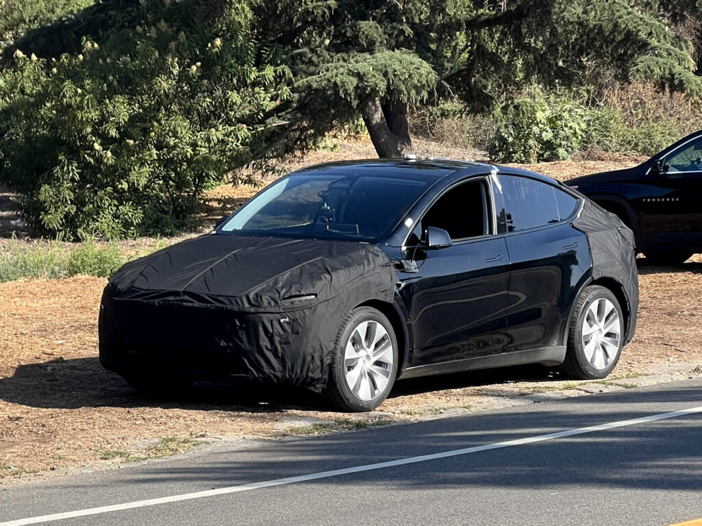 tesla model y juniper