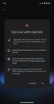 Gemini Live