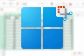 windows-11-vystrizky