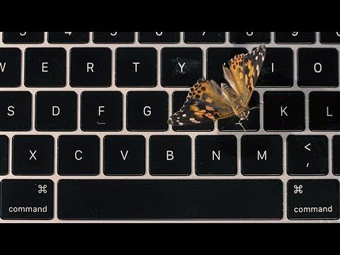 Apple's Faulty MacBook Butterfly Keyboard Explained... With Real Butterflies | WSJ