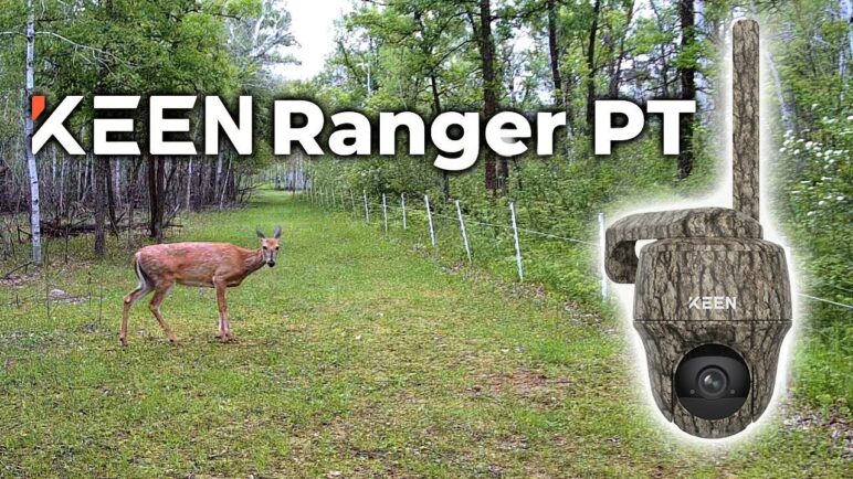 KEEN Ranger PT - 4G Trail Cam 2K