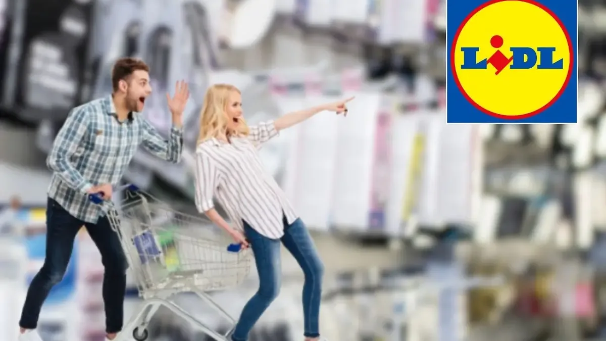 Lidl chystá obří předvánoční výprodej na pražském PVA Expo. Jak si zajistit vstup?