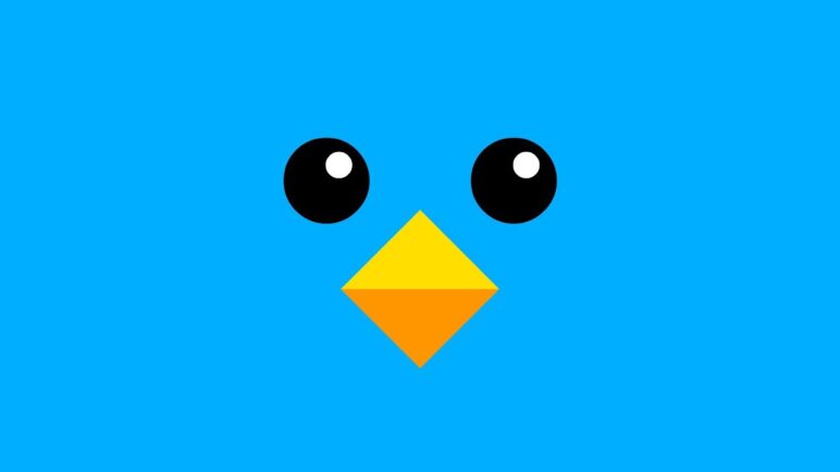 Mr Flap