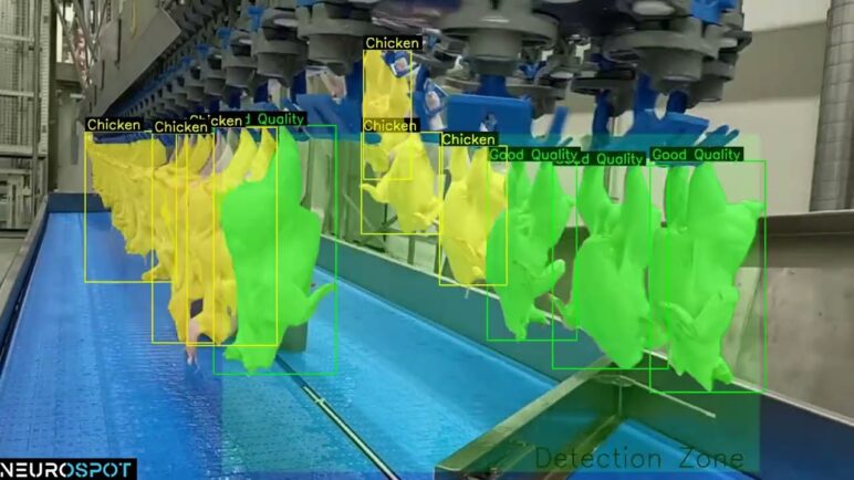 The Defect Detection module on the production line using the Neurospot