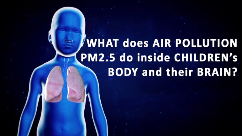 What does Air Pollution PM 2.5 do inside children's body and brain? (English)