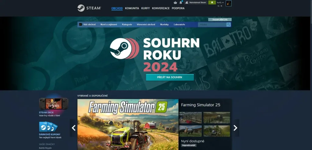 Steam souhrn roku 2024