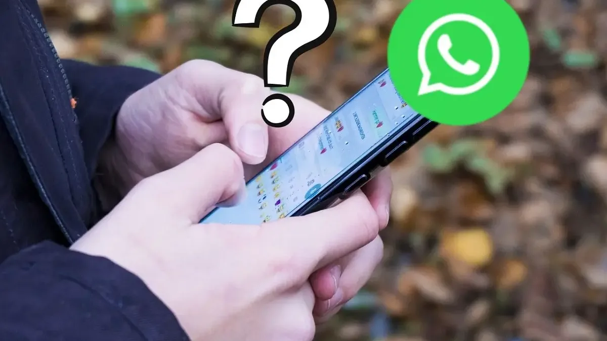 WhatsApp dokáže zlikvidovat paměť vašeho mobilu. Jak ho zkrotit?