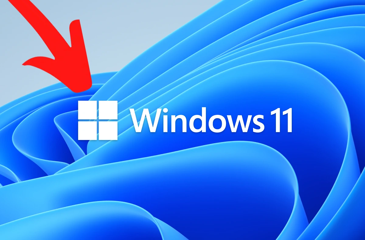 windows 11