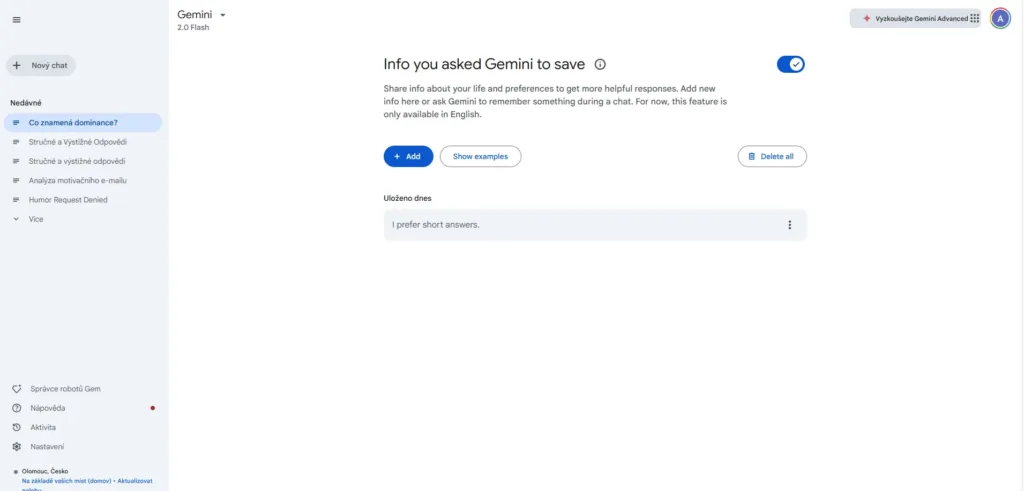 google gemini ulozene informace zdarma screenshot