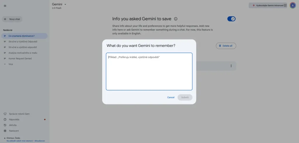 google gemini ulozene informace zdarma screenshot cesky priklad