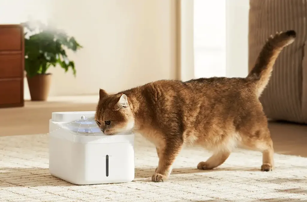 A cat drinks from a smart water dispenser