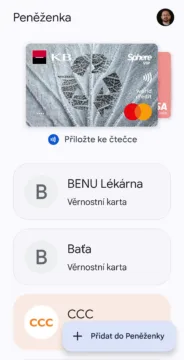 Peněženka Google, přehled karet