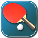 Virtual Table Tennis 3D