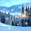 Winter Live Wallpaper